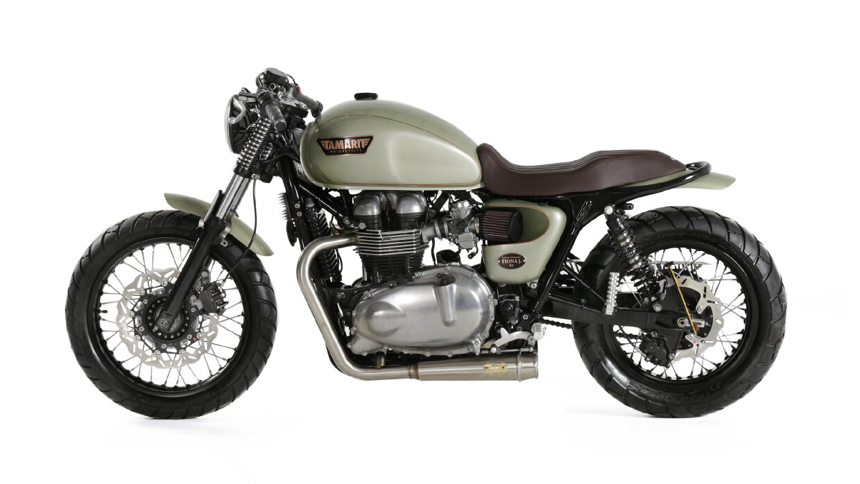 triumph thruxton 900 cafe racer tamarit fiona