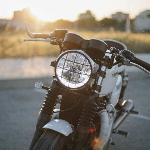 Guardabarros Babieca