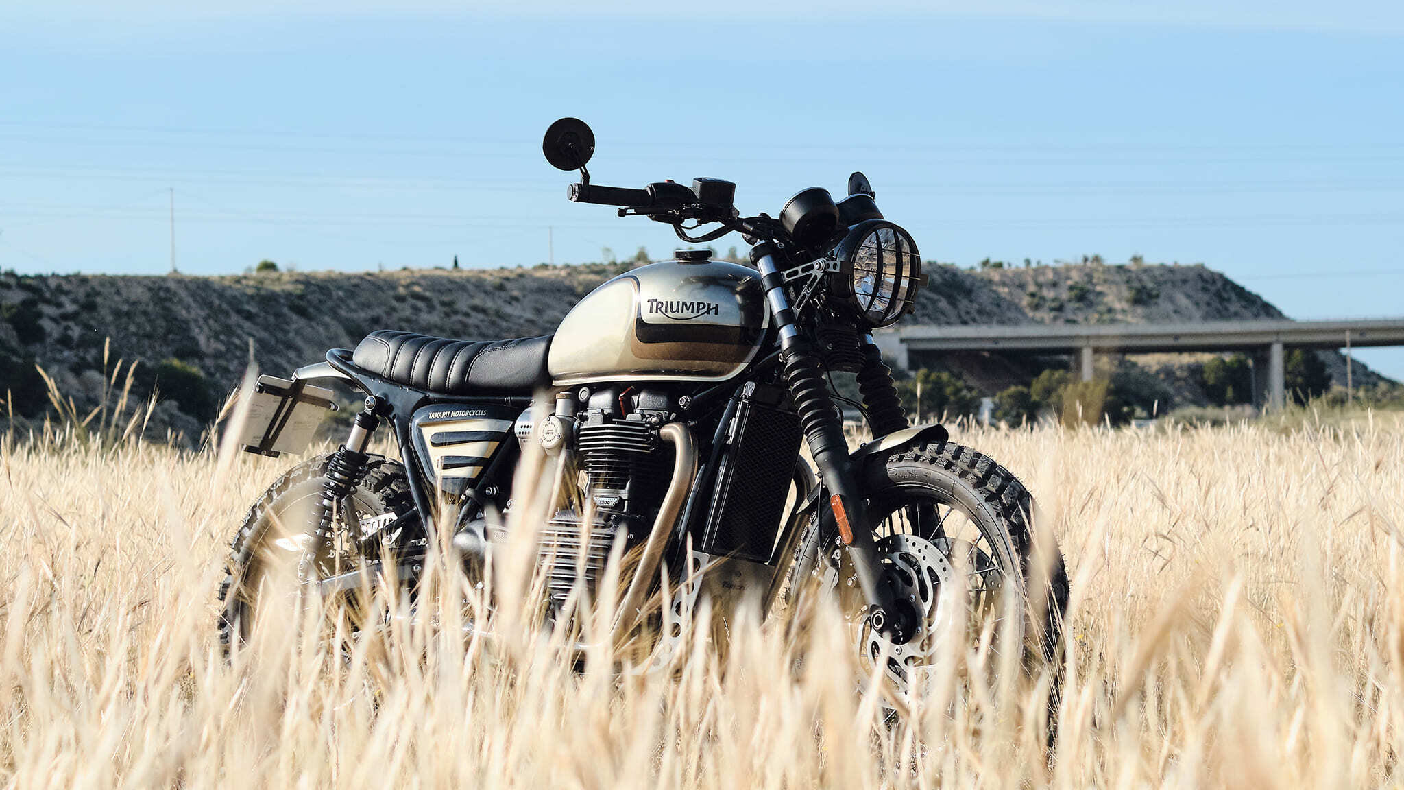 triumph bonneville t120 brat style tamarit bizarra